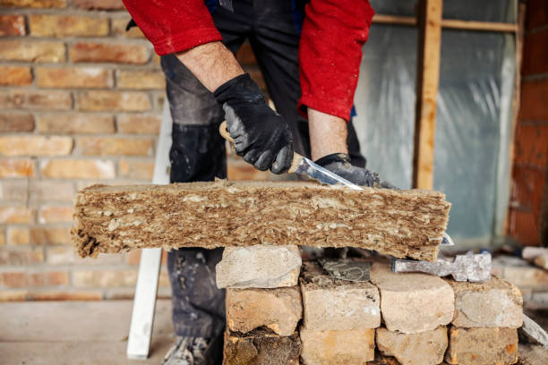 Best Attic Insulation Installation  in Plainview, MN